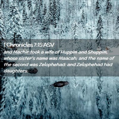 Picture 02 - 1 Chronicles 7:15 ASV - and Machir took a wife of Huppim and Shuppim, - Bible Verse Picture