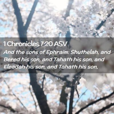 Picture 02 - 1 Chronicles 7:20 ASV - And the sons of Ephraim: Shuthelah, and Bered his - Bible Verse Picture