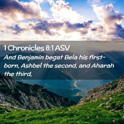 Picture 02 - 1 Chronicles 8:1 ASV - And Benjamin begat Bela his first-born, Ashbel - Bible Verse Picture