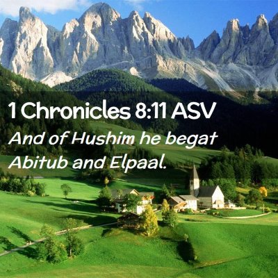Picture 02 - 1 Chronicles 8:11 ASV - And of Hushim he begat Abitub and - Bible Verse Picture