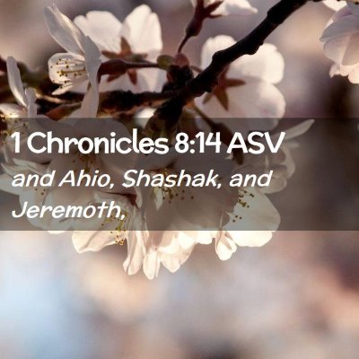 Picture 02 - 1 Chronicles 8:14 ASV - and Ahio, Shashak, and - Bible Verse Picture