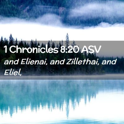 Picture 02 - 1 Chronicles 8:20 ASV - and Elienai, and Zillethai, and - Bible Verse Picture