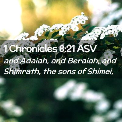Picture 02 - 1 Chronicles 8:21 ASV - and Adaiah, and Beraiah, and Shimrath, the sons - Bible Verse Picture