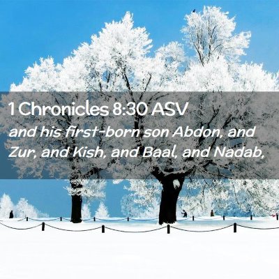 Picture 02 - 1 Chronicles 8:30 ASV - and his first-born son Abdon, and Zur, and Kish, - Bible Verse Picture