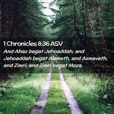 Picture 02 - 1 Chronicles 8:36 ASV - And Ahaz begat Jehoaddah; and Jehoaddah begat - Bible Verse Picture