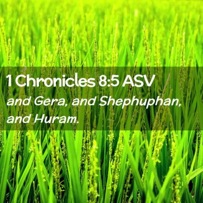 Picture 02 - 1 Chronicles 8:5 ASV - and Gera, and Shephuphan, and - Bible Verse Picture