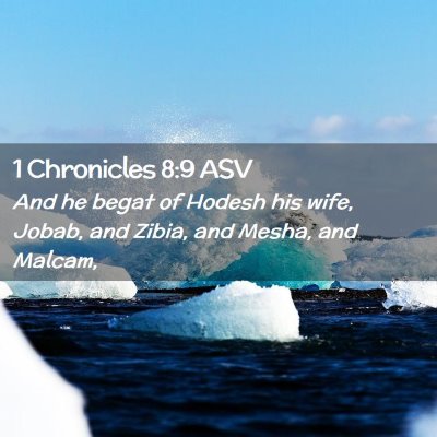 Picture 02 - 1 Chronicles 8:9 ASV - And he begat of Hodesh his wife, Jobab, and - Bible Verse Picture