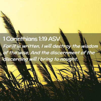 Picture 02 - 1 Corinthians 1:19 ASV - For it is written, I will destroy the wisdom of - Bible Verse Picture