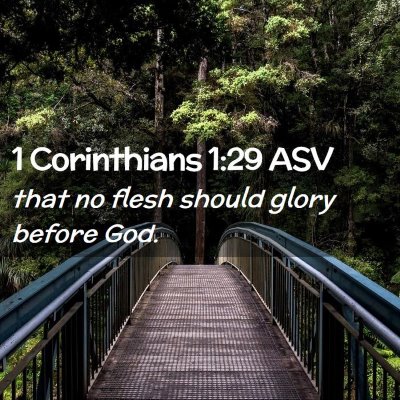 Picture 02 - 1 Corinthians 1:29 ASV - that no flesh should glory before - Bible Verse Picture