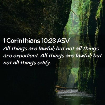 Picture 02 - 1 Corinthians 10:23 ASV - All things are lawful; but not all things are - Bible Verse Picture