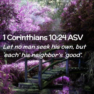 Picture 02 - 1 Corinthians 10:24 ASV - Let no man seek his own, but `each' his - Bible Verse Picture