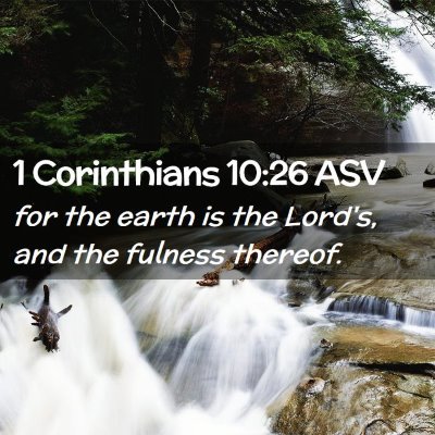 Picture 02 - 1 Corinthians 10:26 ASV - for the earth is the Lord's, and the fulness - Bible Verse Picture