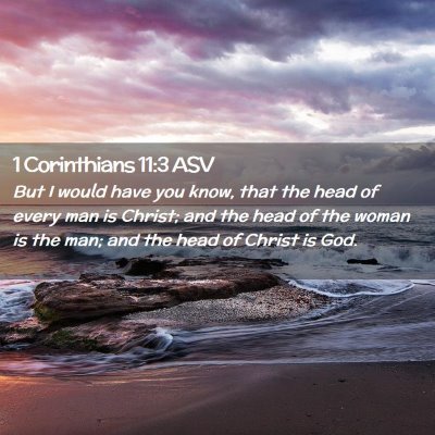 Picture 02 - 1 Corinthians 11:3 ASV - But I would have you know, that the head of every - Bible Verse Picture