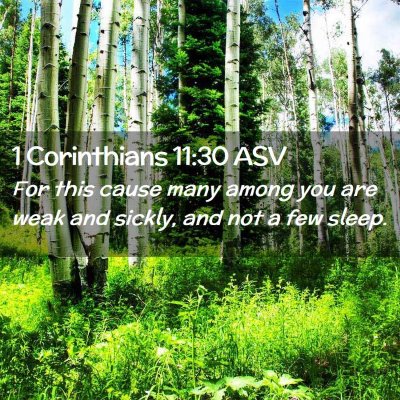 Picture 02 - 1 Corinthians 11:30 ASV - For this cause many among you are weak and - Bible Verse Picture
