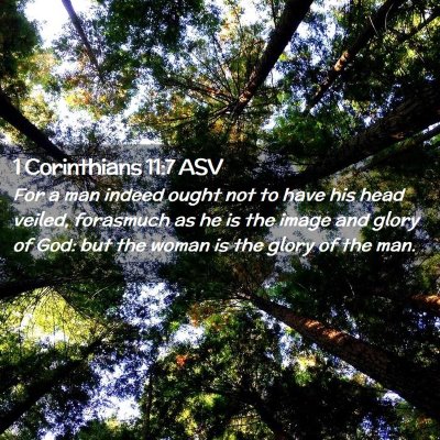 Picture 02 - 1 Corinthians 11:7 ASV - For a man indeed ought not to have his head - Bible Verse Picture