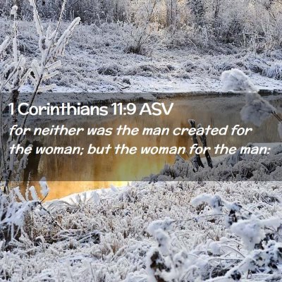 Picture 02 - 1 Corinthians 11:9 ASV - for neither was the man created for the woman; - Bible Verse Picture