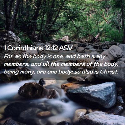 Picture 02 - 1 Corinthians 12:12 ASV - For as the body is one, and hath many members, - Bible Verse Picture