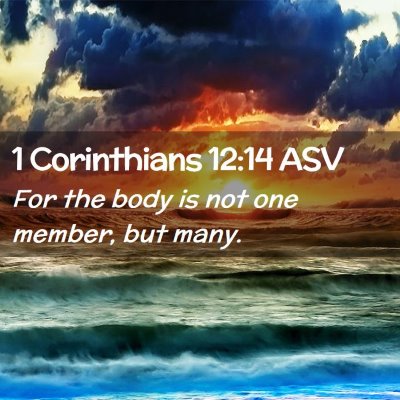 Picture 02 - 1 Corinthians 12:14 ASV - For the body is not one member, but - Bible Verse Picture