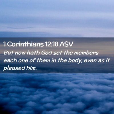 Picture 02 - 1 Corinthians 12:18 ASV - But now hath God set the members each one of them - Bible Verse Picture