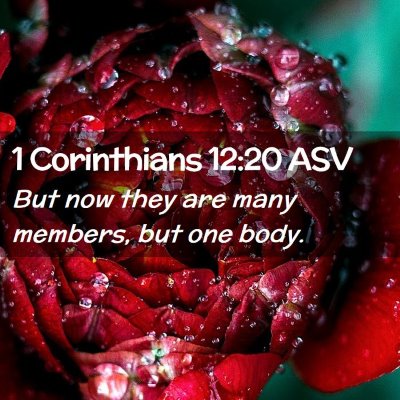Picture 02 - 1 Corinthians 12:20 ASV - But now they are many members, but one - Bible Verse Picture