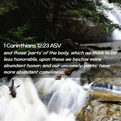 Picture 02 - 1 Corinthians 12:23 ASV - and those `parts' of the body, which we think to - Bible Verse Picture