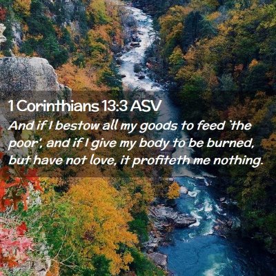 Picture 02 - 1 Corinthians 13:3 ASV - And if I bestow all my goods to feed `the poor', - Bible Verse Picture