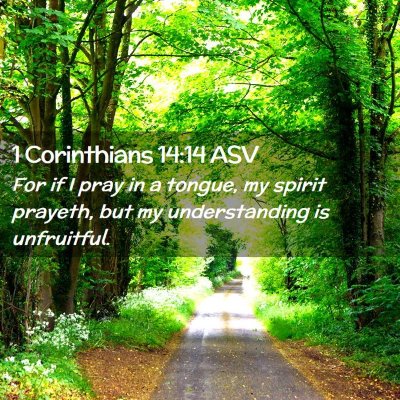 Picture 02 - 1 Corinthians 14:14 ASV - For if I pray in a tongue, my spirit prayeth, but - Bible Verse Picture