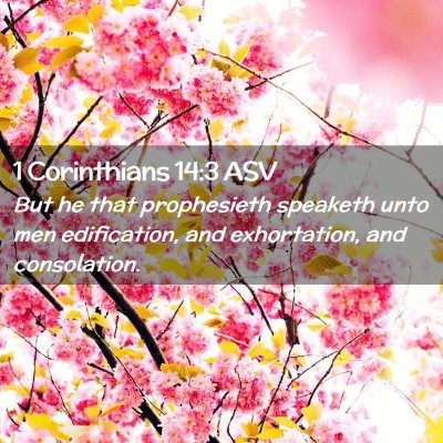 Picture 02 - 1 Corinthians 14:3 ASV - But he that prophesieth speaketh unto men - Bible Verse Picture