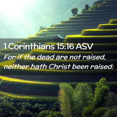 Picture 02 - 1 Corinthians 15:16 ASV - For if the dead are not raised, neither hath - Bible Verse Picture