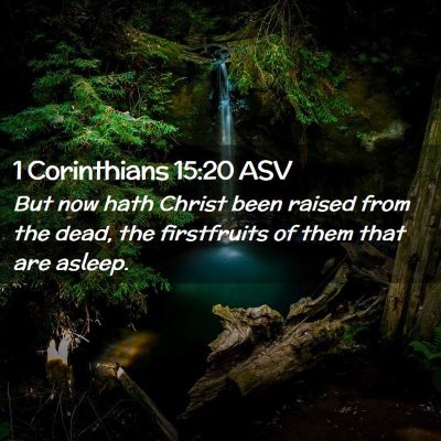 Picture 02 - 1 Corinthians 15:20 ASV - But now hath Christ been raised from the dead, - Bible Verse Picture