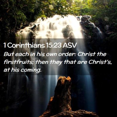 Picture 02 - 1 Corinthians 15:23 ASV - But each in his own order: Christ the - Bible Verse Picture