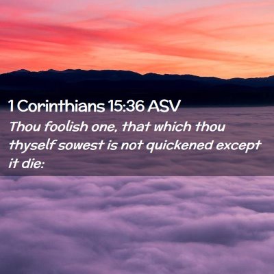 Picture 02 - 1 Corinthians 15:36 ASV - Thou foolish one, that which thou thyself sowest - Bible Verse Picture