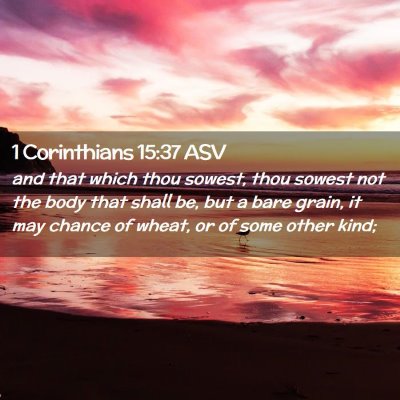 Picture 02 - 1 Corinthians 15:37 ASV - and that which thou sowest, thou sowest not the - Bible Verse Picture