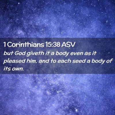 Picture 02 - 1 Corinthians 15:38 ASV - but God giveth it a body even as it pleased him, - Bible Verse Picture