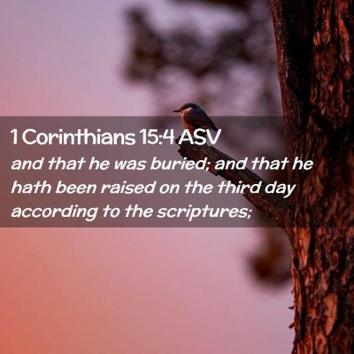Picture 02 - 1 Corinthians 15:4 ASV - and that he was buried; and that he hath been - Bible Verse Picture