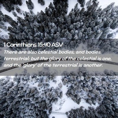 Picture 02 - 1 Corinthians 15:40 ASV - There are also celestial bodies, and bodies - Bible Verse Picture