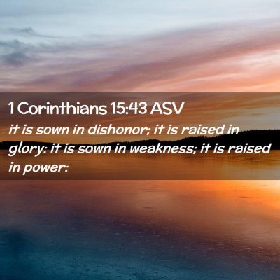 Picture 02 - 1 Corinthians 15:43 ASV - it is sown in dishonor; it is raised in glory: it - Bible Verse Picture