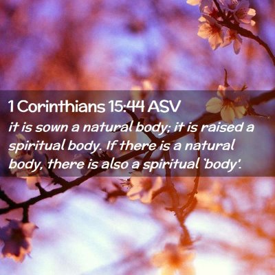Picture 02 - 1 Corinthians 15:44 ASV - it is sown a natural body; it is raised a - Bible Verse Picture