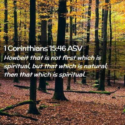 Picture 02 - 1 Corinthians 15:46 ASV - Howbeit that is not first which is spiritual, but - Bible Verse Picture