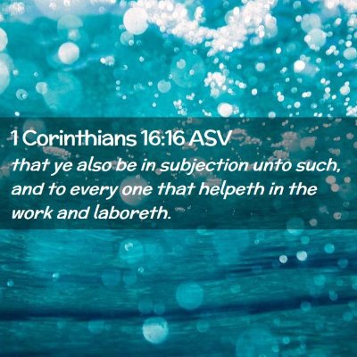 Picture 02 - 1 Corinthians 16:16 ASV - that ye also be in subjection unto such, and to - Bible Verse Picture