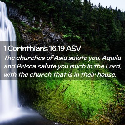 Picture 02 - 1 Corinthians 16:19 ASV - The churches of Asia salute you. Aquila and - Bible Verse Picture