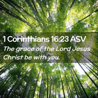 Picture 02 - 1 Corinthians 16:23 ASV - The grace of the Lord Jesus Christ be with - Bible Verse Picture