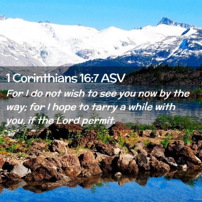 Picture 02 - 1 Corinthians 16:7 ASV - For I do not wish to see you now by the way; for - Bible Verse Picture