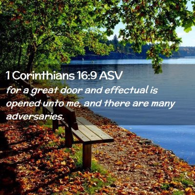 Picture 02 - 1 Corinthians 16:9 ASV - for a great door and effectual is opened unto me, - Bible Verse Picture