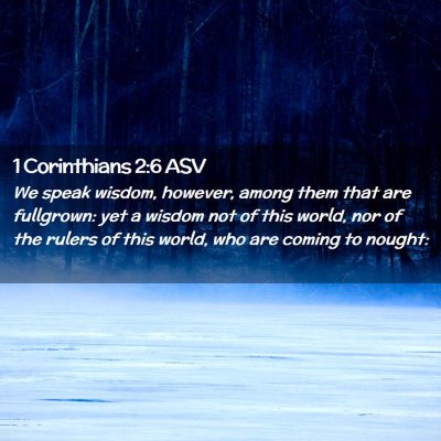 Picture 02 - 1 Corinthians 2:6 ASV - We speak wisdom, however, among them that are - Bible Verse Picture