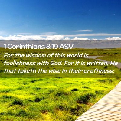 Picture 02 - 1 Corinthians 3:19 ASV - For the wisdom of this world is foolishness with - Bible Verse Picture