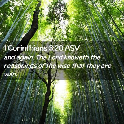 Picture 02 - 1 Corinthians 3:20 ASV - and again, The Lord knoweth the reasonings of the - Bible Verse Picture