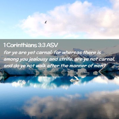 Picture 02 - 1 Corinthians 3:3 ASV - for ye are yet carnal: for whereas there is among - Bible Verse Picture