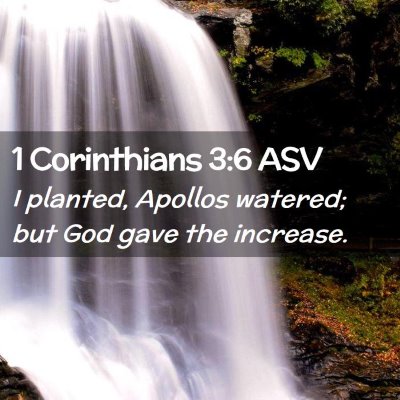 Picture 02 - 1 Corinthians 3:6 ASV - I planted, Apollos watered; but God gave the - Bible Verse Picture