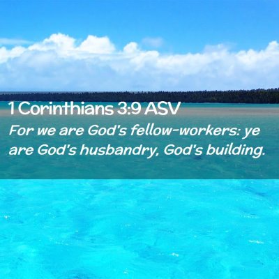 Picture 02 - 1 Corinthians 3:9 ASV - For we are God's fellow-workers: ye are God's - Bible Verse Picture